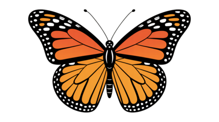 Vibrant orange butterfly with delicate wing patterns