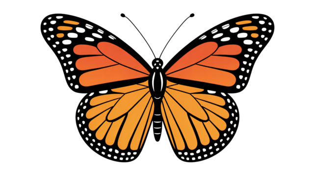Vibrant orange butterfly with delicate wing patterns