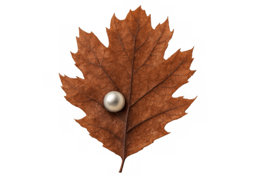 Autumn leaf displaying a lustrous pearl on its brown surface, combining nature's beauty with elegance, transparent background
