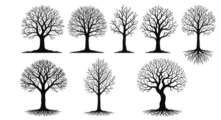 Obraz premium Collection of bare tree silhouettes vector graphic design assets