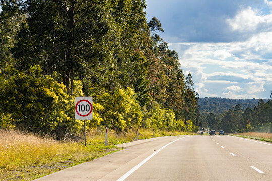 100 speed zone sign beside Australin road with flowering wattle on roadside
