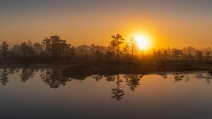 🌅 Beautiful sunrise over the river landscape with orange sky, trees, and water reflection in the morning