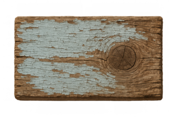 Weathered wood plank with peeling light blue paint texturing surface and visible knot, old rustic board sign and transparent background