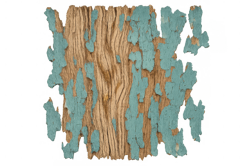 Wood texture with peeling turquoise paint creating a rustic, weathered, and aged grunge background, transparent background