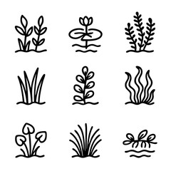 A set of doodle line icons representing various aquatic plants, lake weeds, reeds, grasses, and floating vegetation