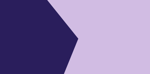 Modern Geometric Hexagonal Split Background Vector Illustration. Clean, angular split of dark and light purple forming a subtle arrow or chevron shape.
