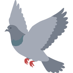 A stylized illustration of a grey pigeon in flight with spread wings and red feet against a transparent background