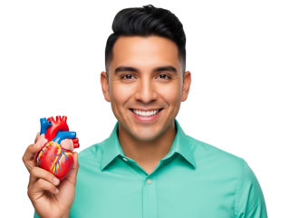 Happy Man Holding Anatomical Human Heart Model Promoting Health Care Medical Wellness Cardiology