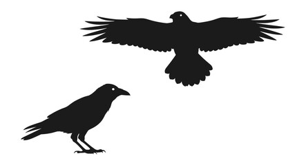 Obraz premium Black bird silhouette vector illustration flying and standing raven