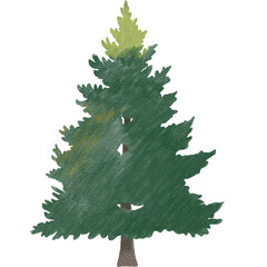 A beautiful  illustration of a green pine tree with soft textured details. Perfect for Christmas designs, winter cards, holiday invitations.
