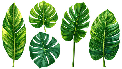 Various vivid green tropical leaves on a black background