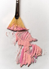 A close-up, top-down photograph showcasing a fan brush partially embedded in a swatch of pink paint against a plain white background. The brush, positioned in the upper center, 