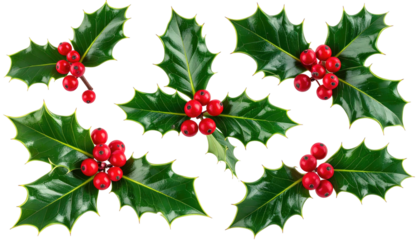 Festive holly sprigs, green leaves and bright red berries scattered