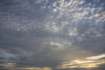 A wide shot of a sky filled with patterned altocumulus clouds, tinged