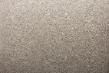 Detailed Leather Surface Background