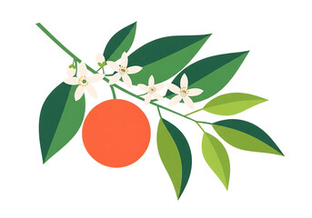 Fresh orange fruit branch with green leaves and delicate white blooms