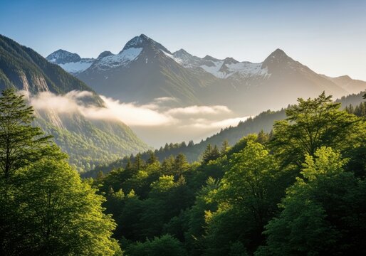 Majestic mountain range with misty valleys and lush green forests at sunrise - Powered by Adobe