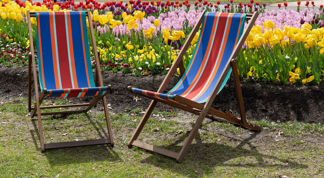 Striped brightly coloured outdoor deck chairs with tulips and hyacinths at Floriade Festival