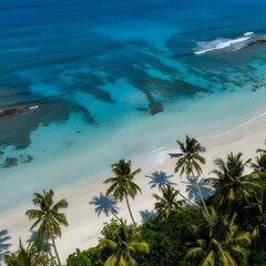 Aerial view of a tropical white sand beach with palm trees and turquoise ocean waves