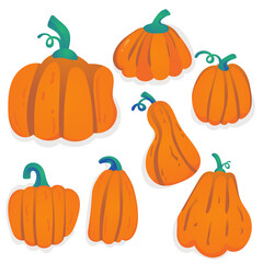 Set of Various Cartoon Pumpkins and Gourds Vector Illustration