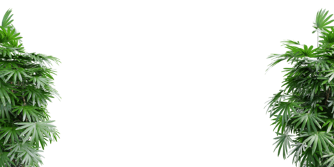 Fresh and exotic segmented palm leaves forming a balanced on transparent background 3d rendering png.