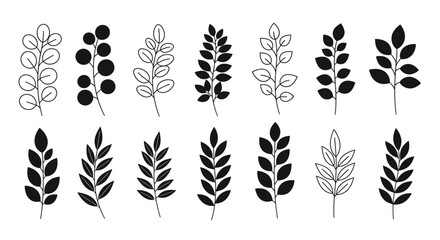 Obraz premium Minimalist botanical silhouette collection natural branch set plant elements