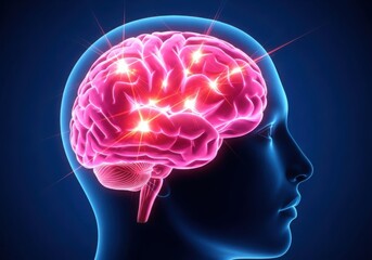 Fototapeta premium Glowing human brain with active neural pathways