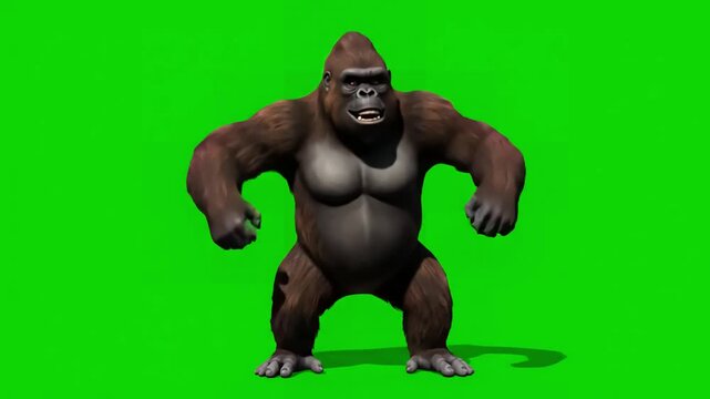 Primate Play Fight with funny brown gorilla fighting super realistic fur and hair green screen 4k animation distortion, overlay, glitch, static noise, scan lines on black background, animated video