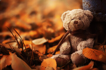 Rear view Teddy bear doll sitting on autum leaves at footpath. Black view lost bear toy looking out on the bicycle path, Lonely ted sitting alone at woodland, International missing children's day