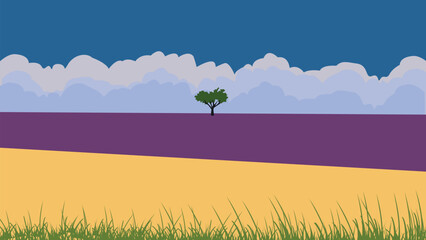 Lavender field with tree under blue sky and clouds