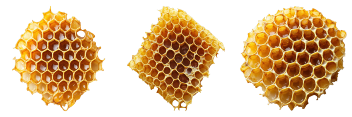 A trio of honeycomb pieces in various shapes and angles showcasing their intricate hexagonal pattern and golden hue