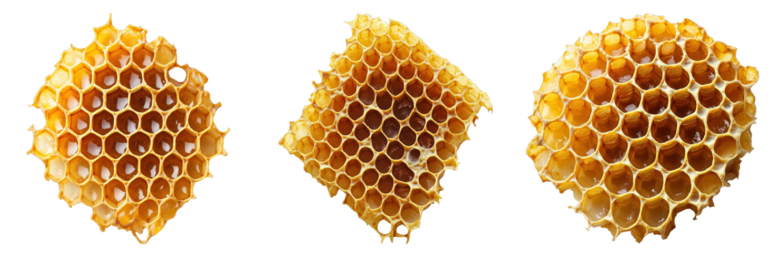 A trio of honeycomb pieces in various shapes and angles showcasing their intricate hexagonal pattern and golden hue
