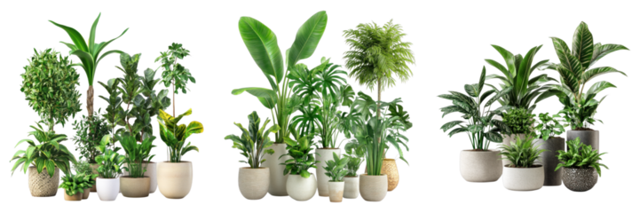 A collection of lush potted plants in various shapes and sizes, bringing the freshness of the outdoors to an interior space. The vibrant green foliage adds a touch of nature and serenity.