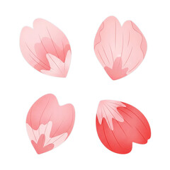 Four delicate pink watercolor cherry blossom petals scattered artistically isolated on transparent background