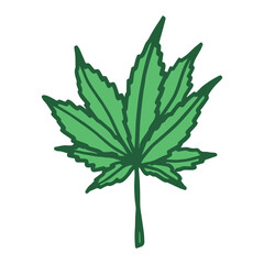 Fototapeta premium Hand drawn cannabis leaf Medicine marijuana Hemp leaves clipart in doodle style Single element for print, web, design, decor