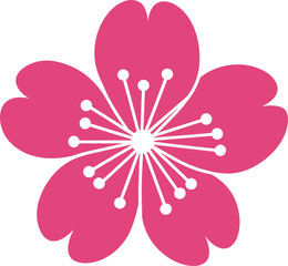 Pink cherry blossom flower icon on white background sakura