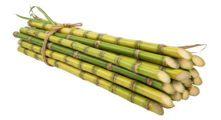 Bundle Of Sugarcane Stalks Tied Together With Twine isolated on Transparent Background