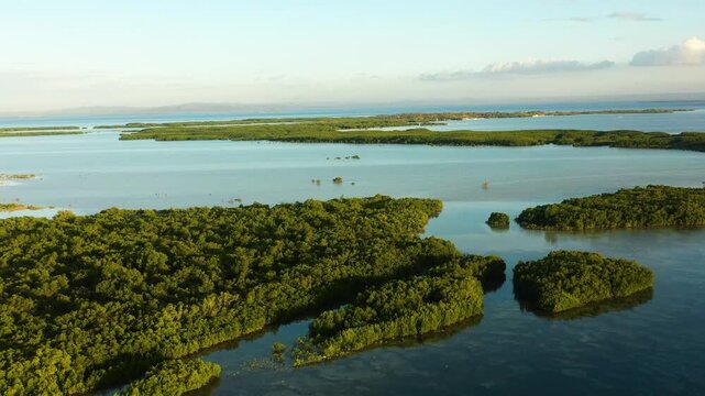 Beautiful view of mangrove forest in Olango Island Wildlife Sanctuary. Lapu-Lapu, Philippines. Cebu.