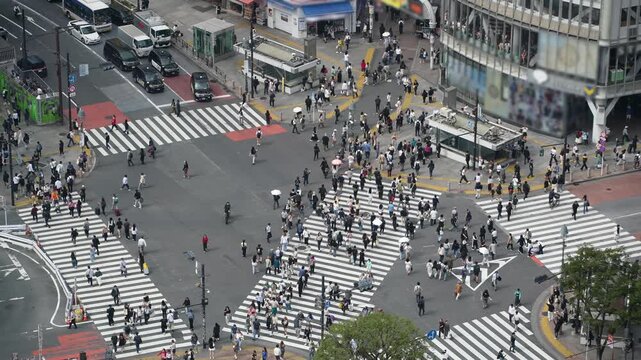スクランブル交差点の俯瞰風景　イメージ映像向け遠景動画