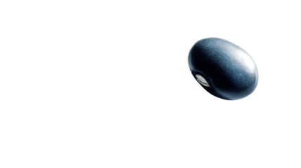 Single navy bean with soft shadow on minimalist isolated on a Transparent background, PNG file.