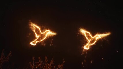 Dos siluetas de pájaros ardientes iluminan la noche oscura con un brillo mágico y etéreo.