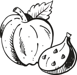Hand-drawn sketchy pumpkin and halved fig vector illustration art