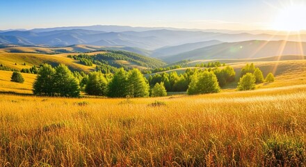 Summer sunset panorama over a green meadow and rural countryside with distant mountains, hills, and a vibrant sky