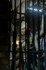 Maa kali in the Shadows