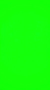 Green Screen red curtain opening with background scene 3 distortion, overlay, glitch, static noise, scan lines on black background, 4k animated video loop