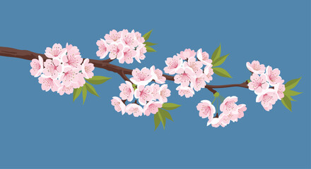 Lovely pink cherry blossoms are blooming on a branch against a serene blue sky, bringing springtime beauty and tranquility to your creative project