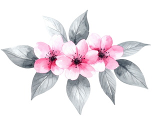 Watercolor floral arrangement features three pink flowers with grey leaves on black