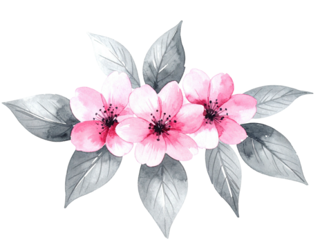 Watercolor floral arrangement features three pink flowers with grey leaves on black