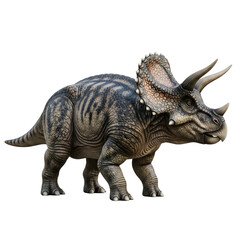 Obraz premium A majestic Triceratops dinosaur stands tall, showcasing its iconic horns and frill. A powerful image of a prehistoric creature, isolated on transparent background