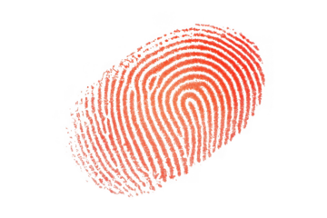 Red fingerprint pattern with black background and textured lines image